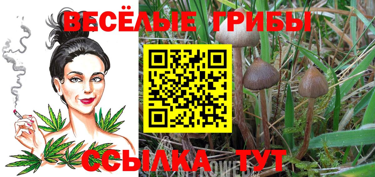 Дубна  Галлюциногенные грибы GOLDEN TEACHER  даркнет сайт  Вход с VPN  Псилоцибиновые грибы GOLDEN TEACHER 