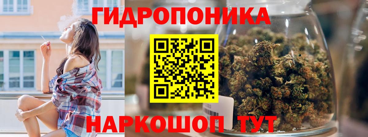 Каннабис тримм  МАРИХУАНА марихуана  Вход с VPN  МАРИХУАНА сатива  Каннабис MAZAR  Дубна 